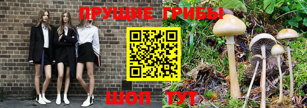Когалым  Галлюциногенные грибы Psilocybe  Вход с VPN  Псилоцибиновые грибы мухоморы 